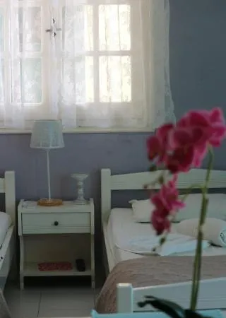 Savvas * Dassia (Corfu)