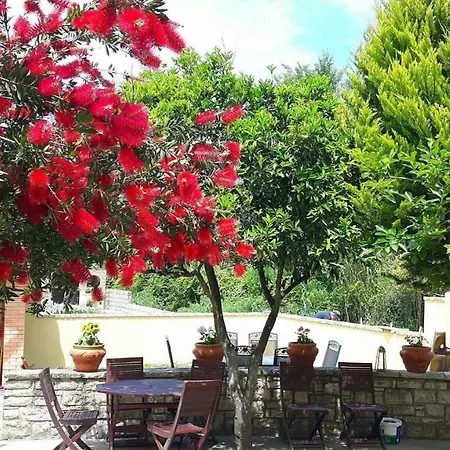 Savvas Apartamento Dassia (Corfu)
